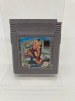 Modul Nintendo GameBoy Spiel Dennis