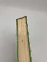 Hilde, die Wilde von M. Haller